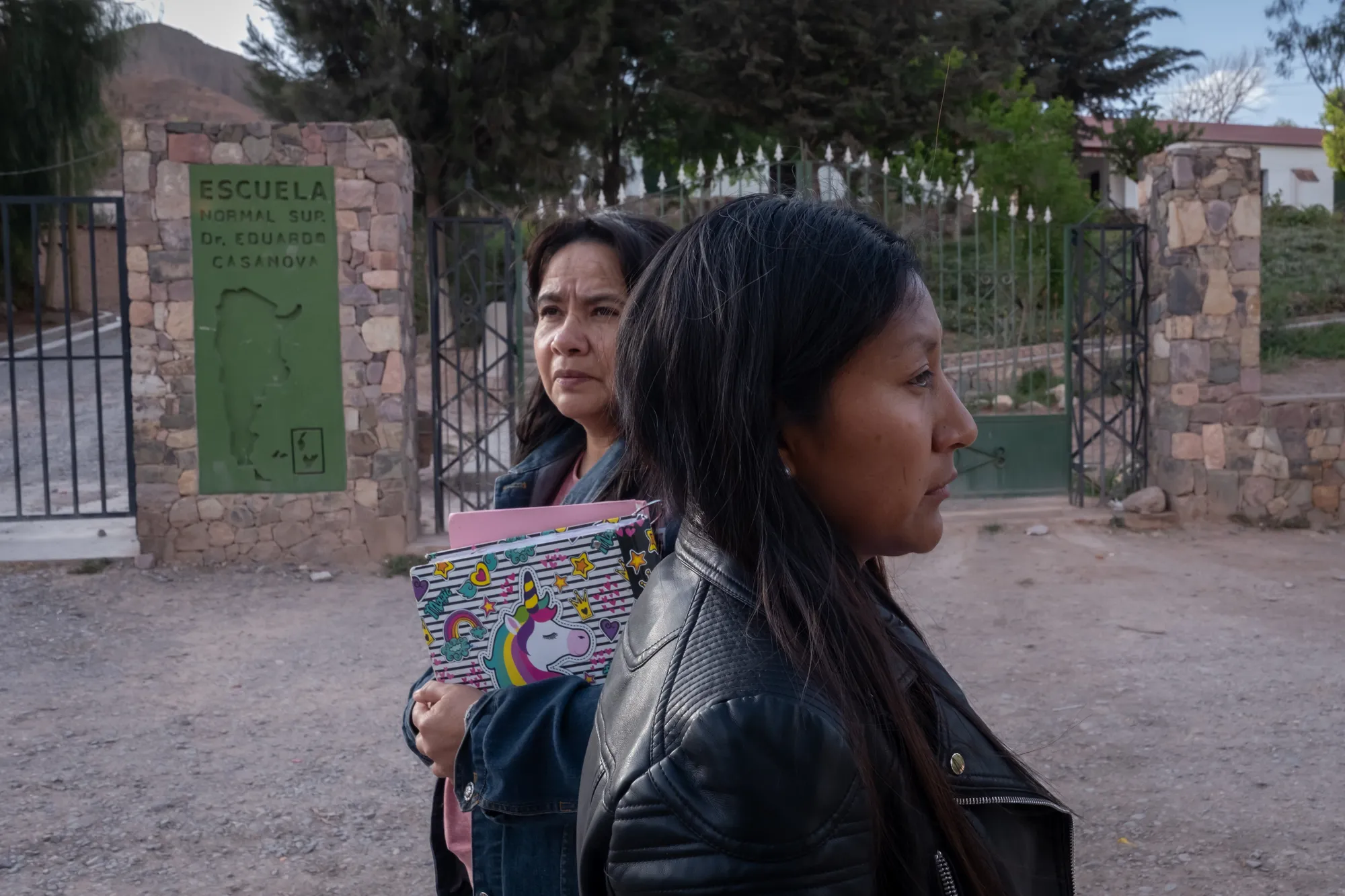 Descripción pendiente